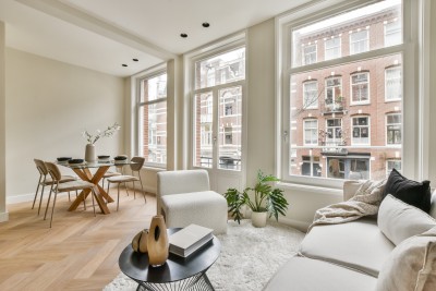 Lichte woonkamer met uitzicht op eettafel met plant